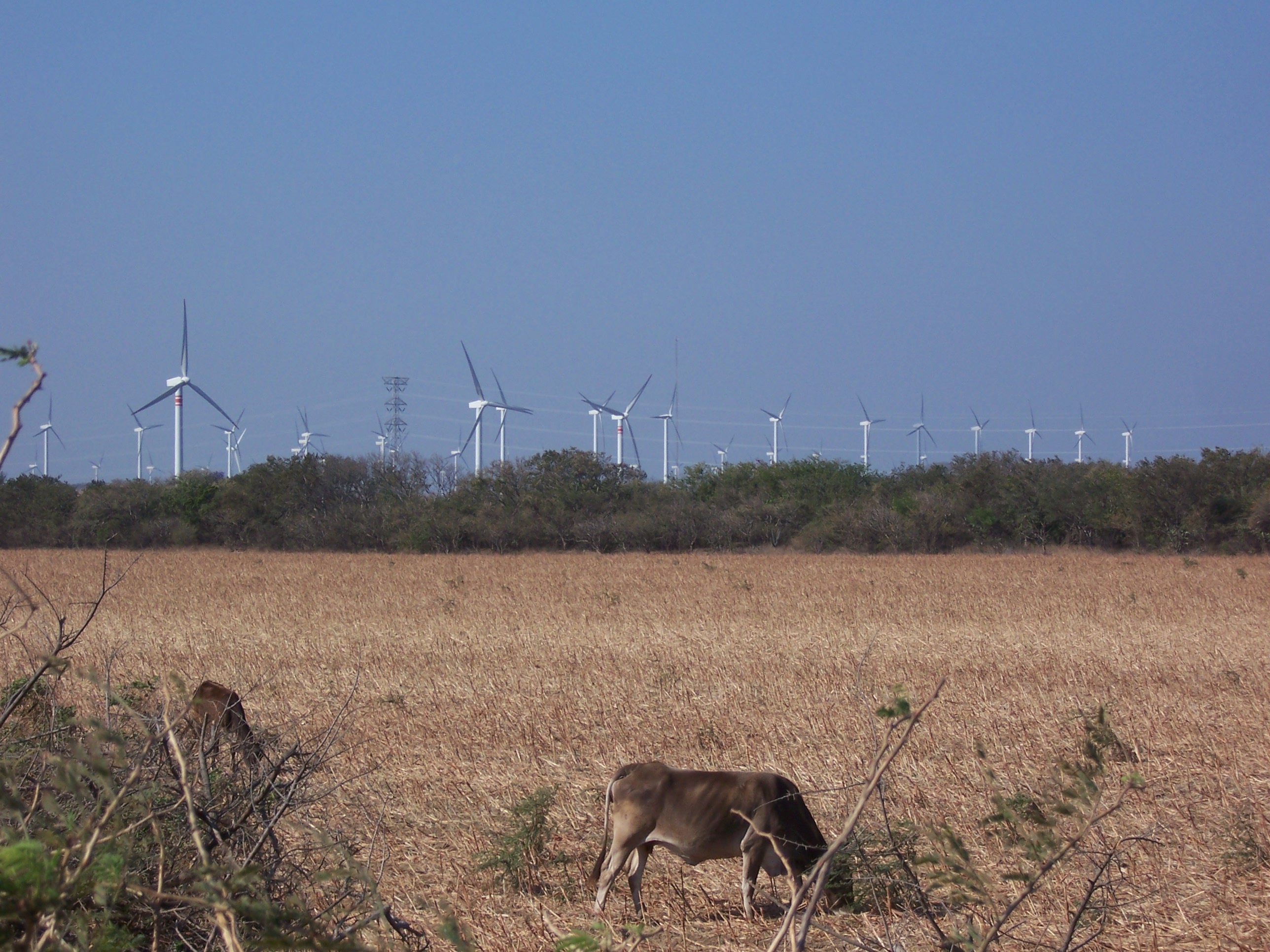 Sozialökologische Konflikte um erneuerbare Energien